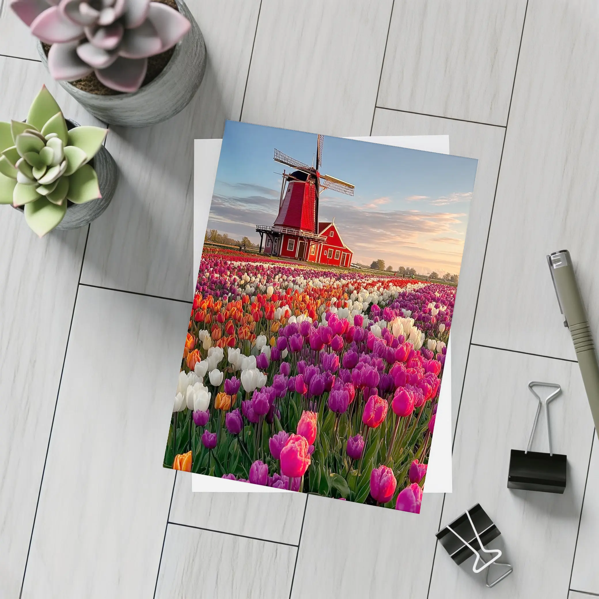 Dutch Windmill Red Tulip Field Landscape – Postcards