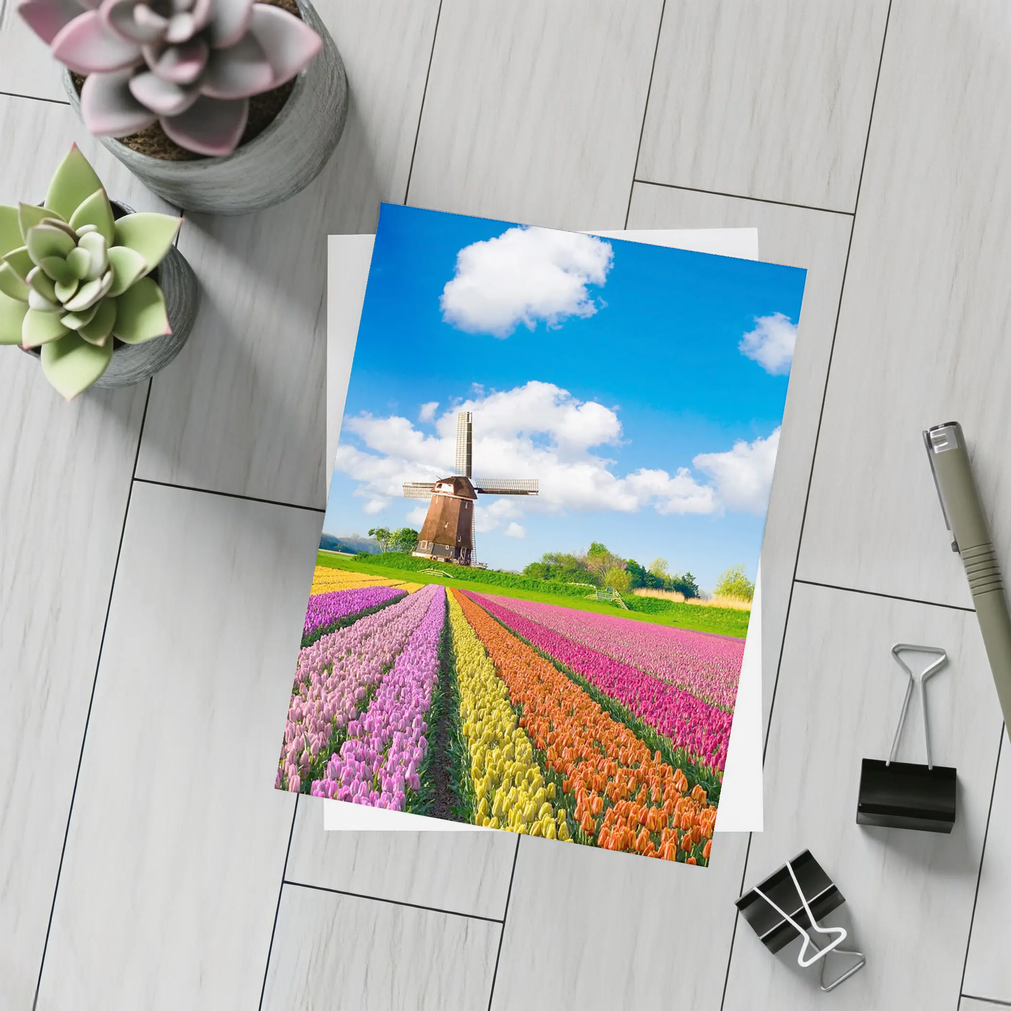 Dutch Tulip Field Windmill Blue Sky – Postcards