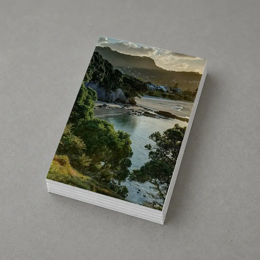 New Zealand Coastal Bay Forest Landscape – Postcards