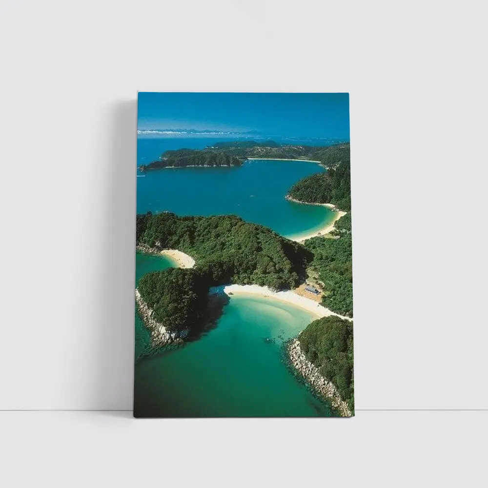 Aerial View New Zealand Coastal Bays Forest – Wall Art