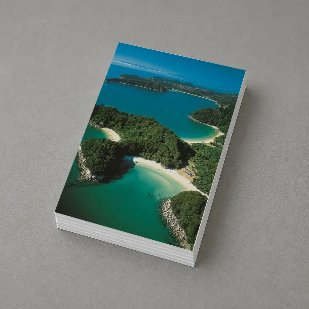 Aerial View New Zealand Coastal Bays Forest – Postcards