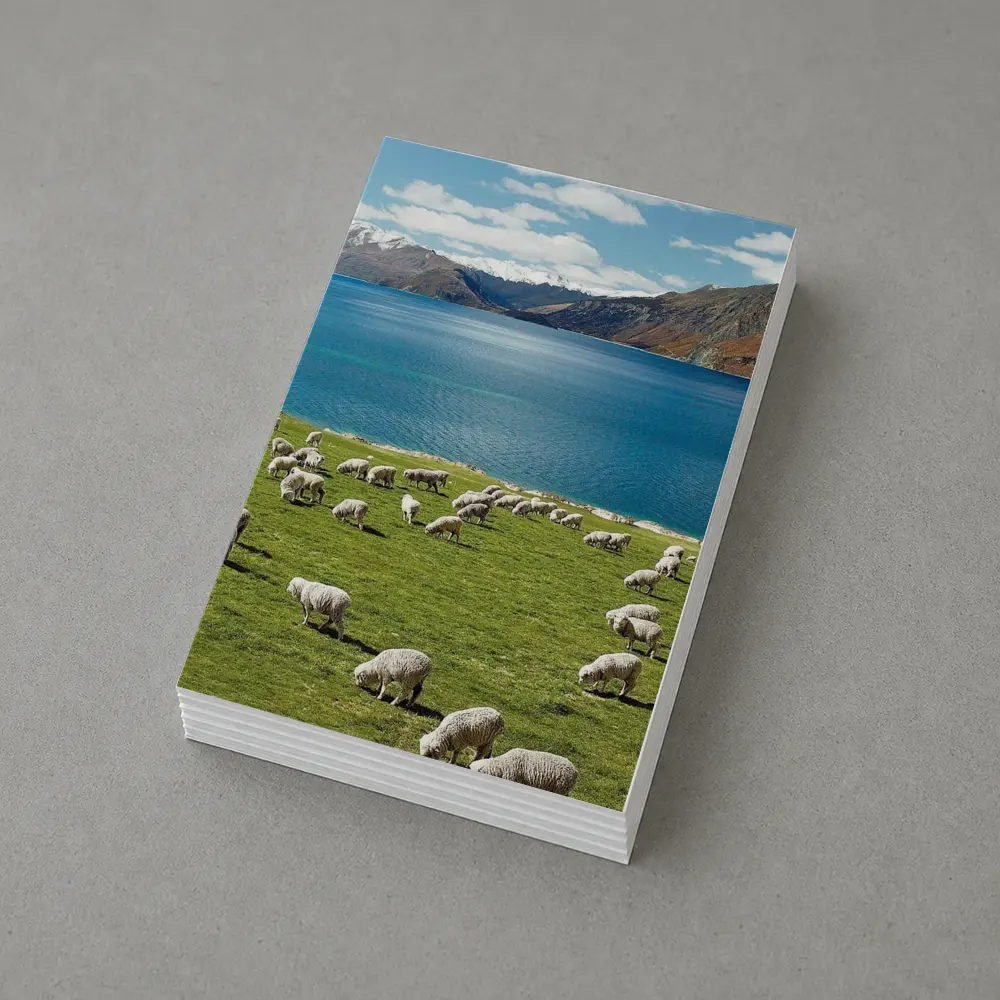 Sheep Grazing Green Meadow Mountain Lake – Postcards
