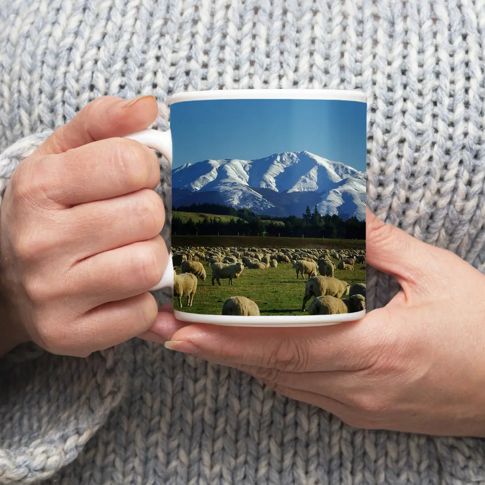 Sheep Flock Grazing Snow Capped Mountain – Mugs