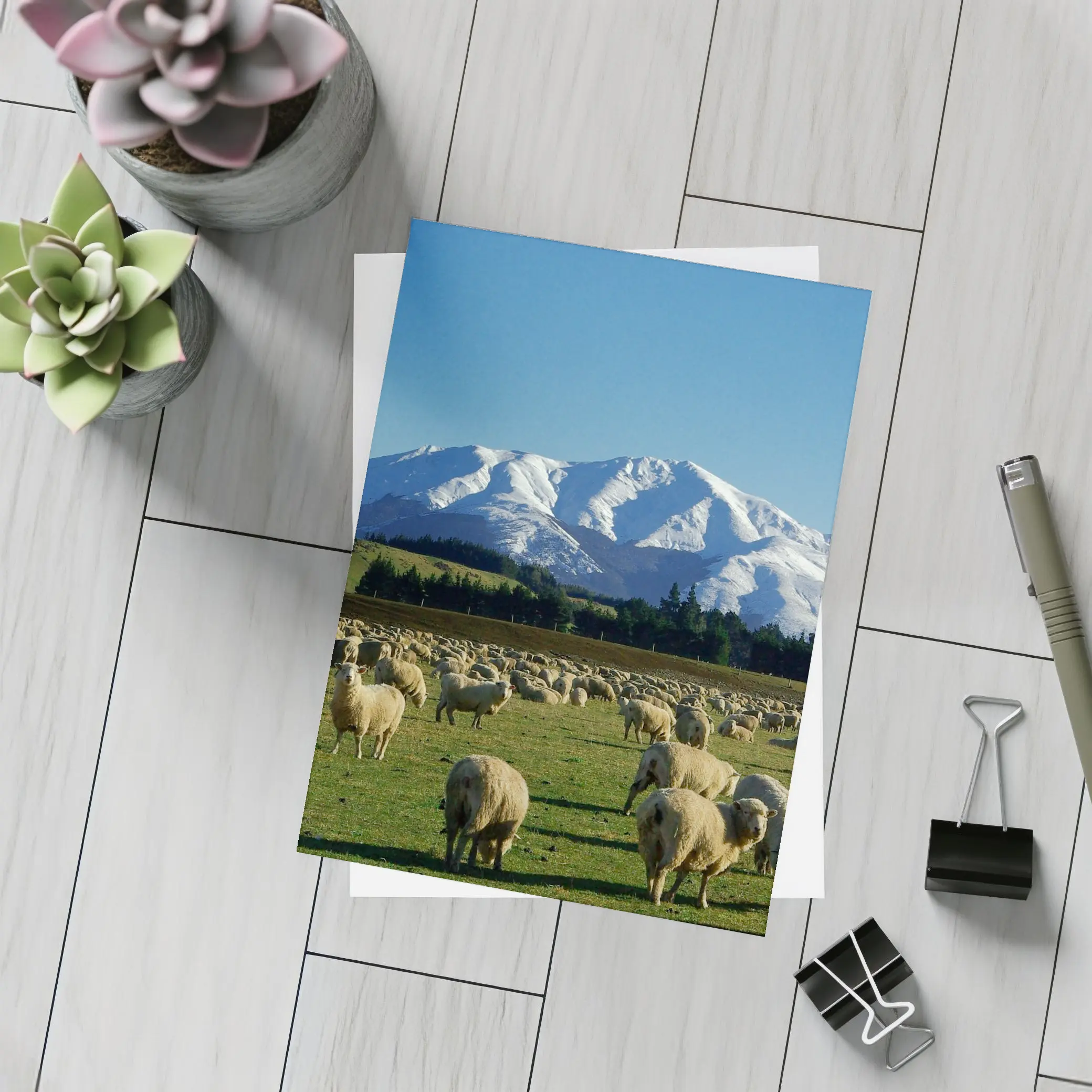 Sheep Flock Grazing Snow Capped Mountain – Postcards