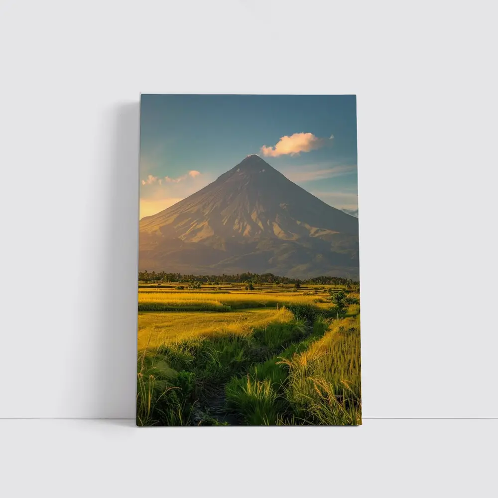 Mayon Volcano Rising Over Green Rice Fields – Wall Art
