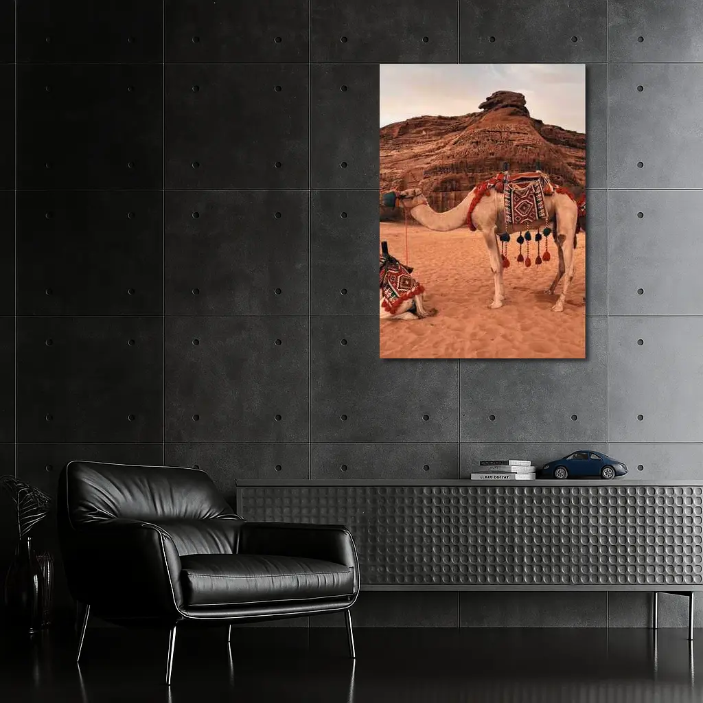 Decorated Camels Standing In Sandy Desert – Wall Art