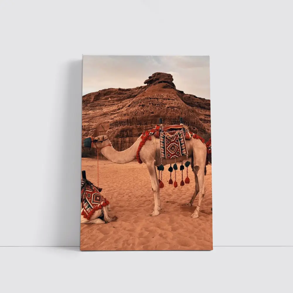 Decorated Camels Standing In Sandy Desert – Wall Art