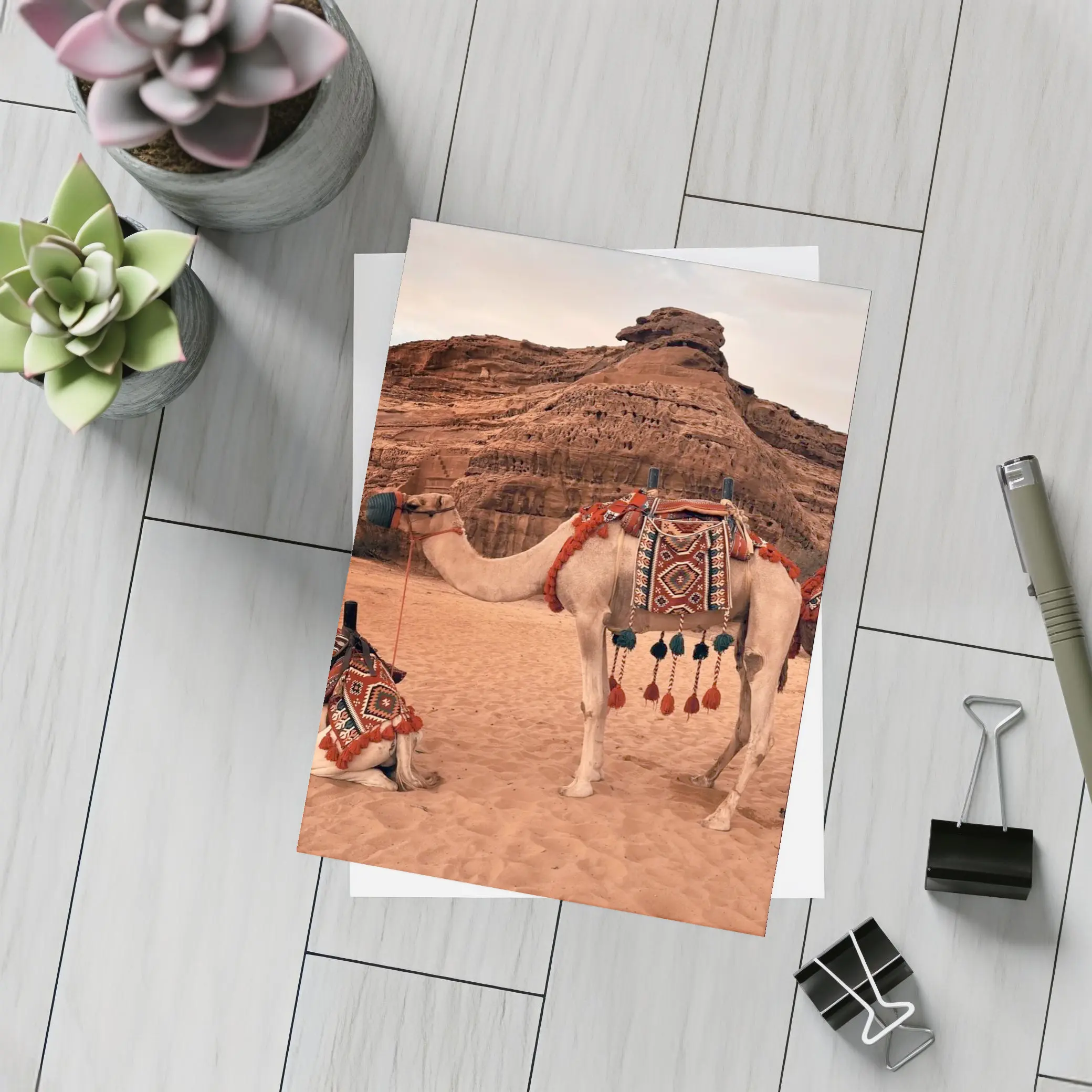 Decorated Camels Standing In Sandy Desert – Postcards