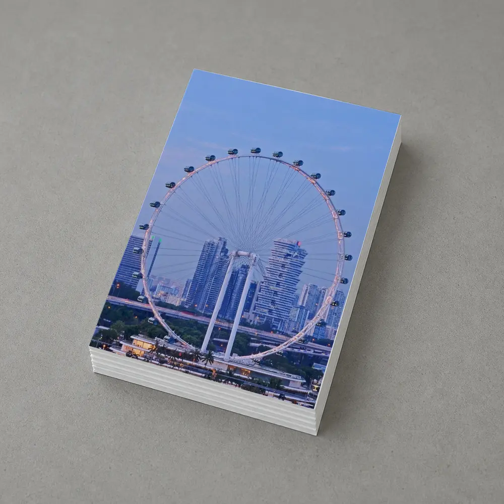 Singapore Flyer Ferris Wheel City Skyline – Postcards
