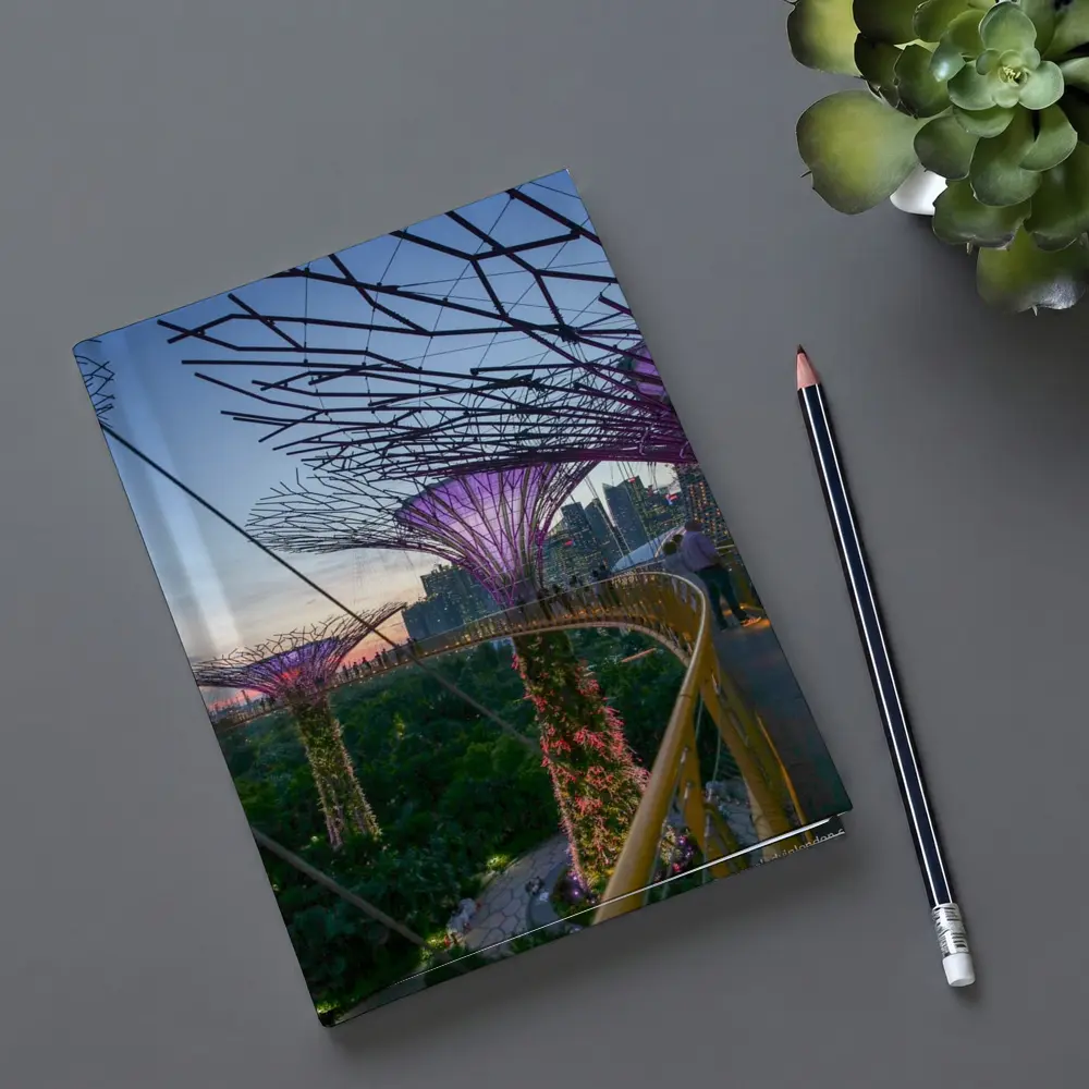 Singapore Gardens by the Bay Supertrees Skyline – Notebooks