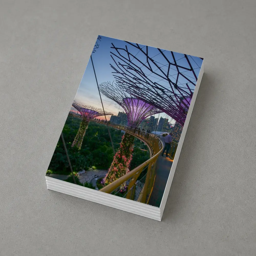 Singapore Gardens by the Bay Supertrees Skyline – Postcards