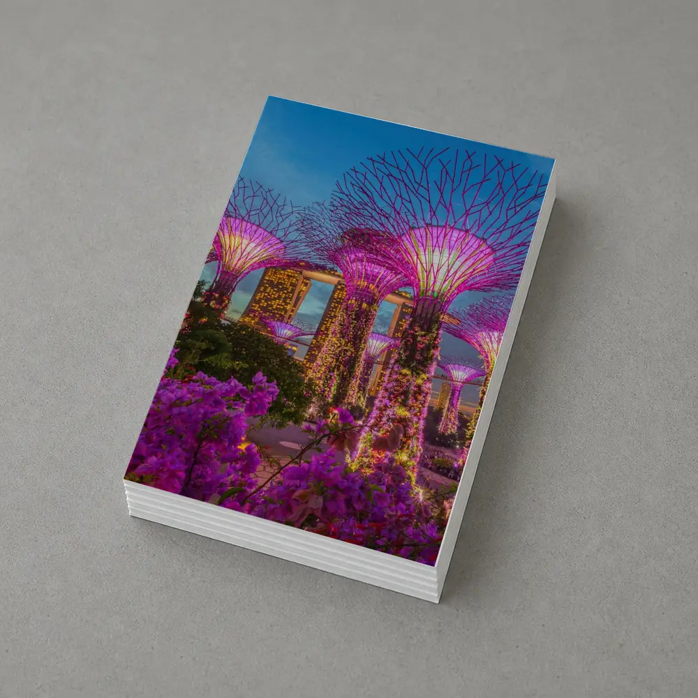 Gardens by the Bay Singapore Night Lights – Postcards
