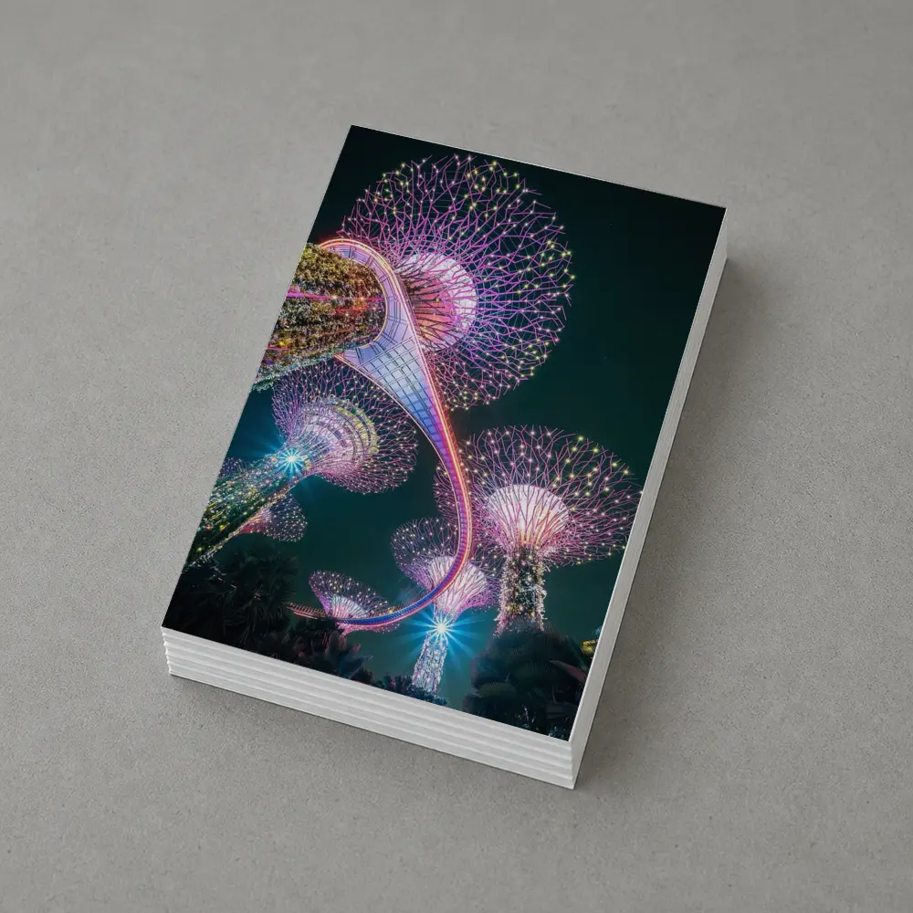 Gardens by the Bay Singapore Night Lights – Postcards