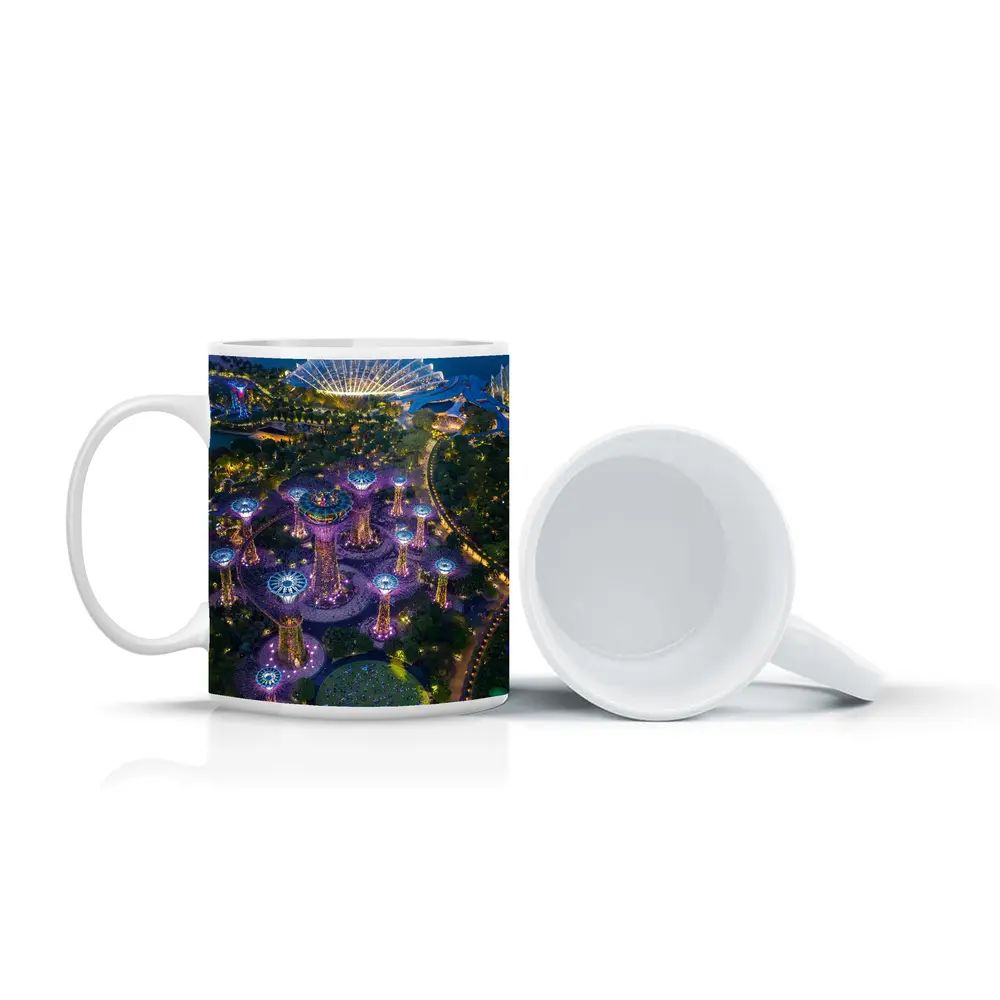 Gardens By The Bay Singapore Night Aerial – Mugs