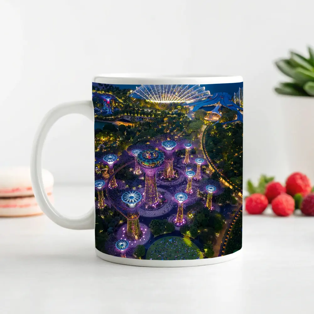 Gardens By The Bay Singapore Night Aerial – Mugs