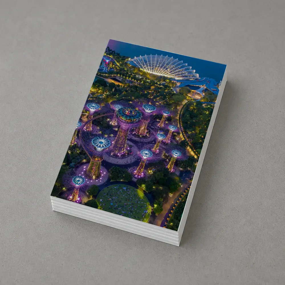 Gardens By The Bay Singapore Night Aerial – Postcards