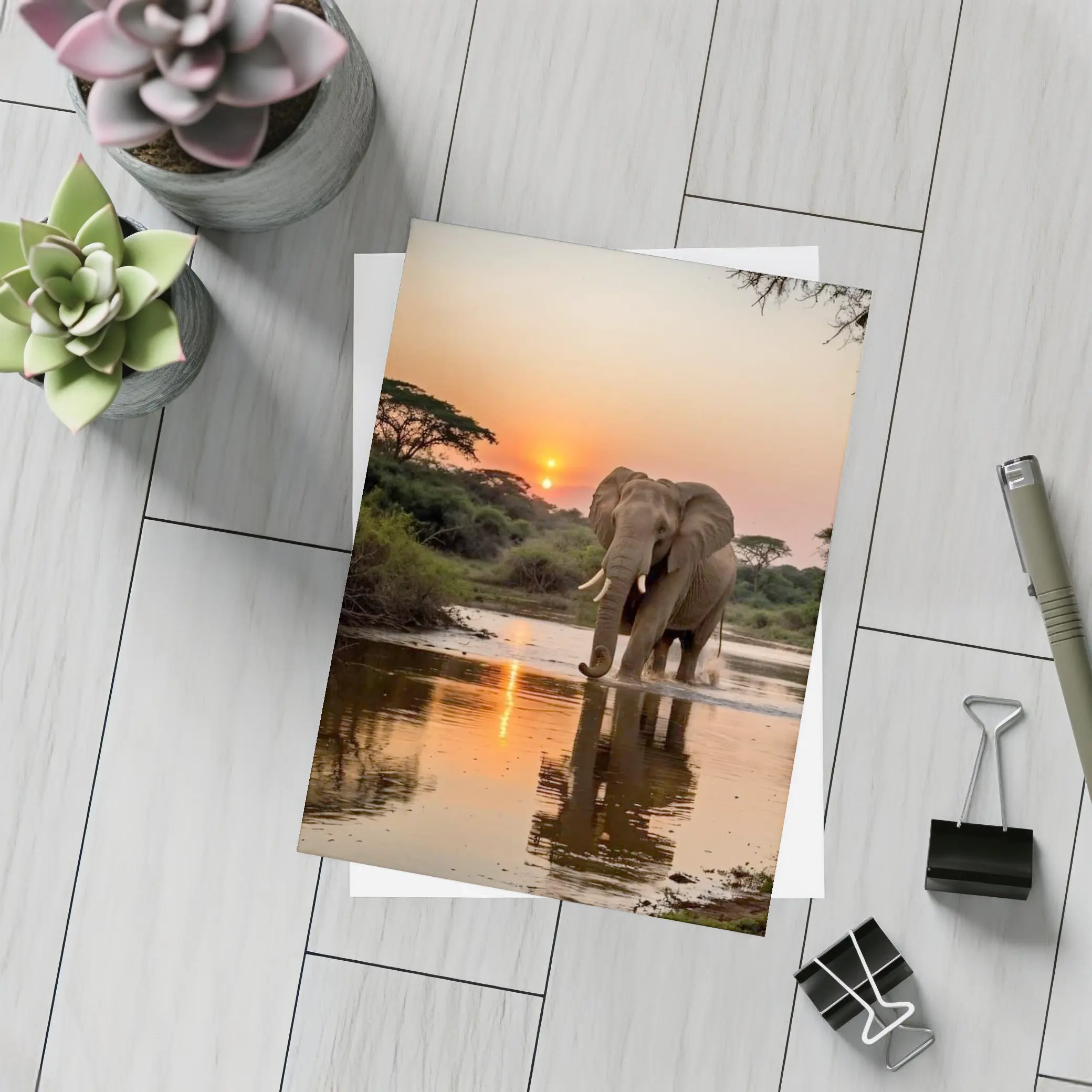 African Elephant at Sunset River Reflection – Postcards