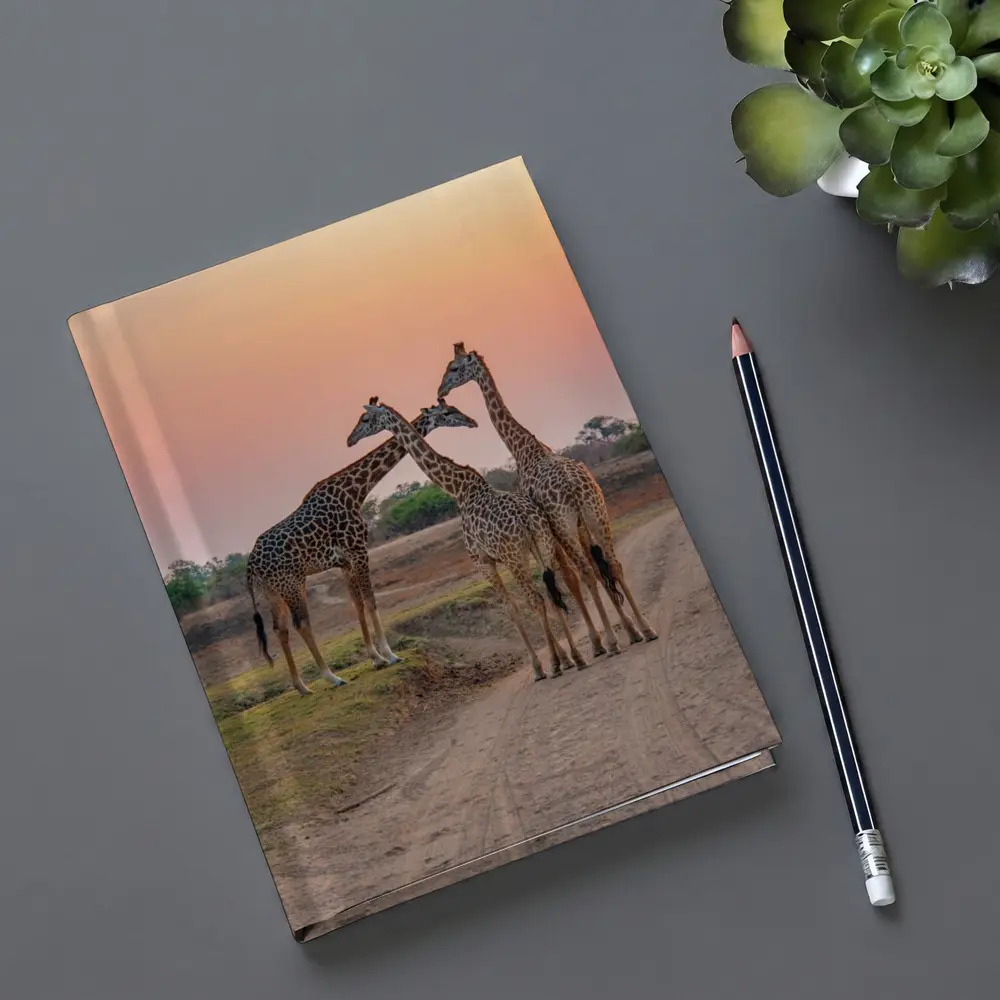Three Giraffes on African Savanna Sunset – Notebooks