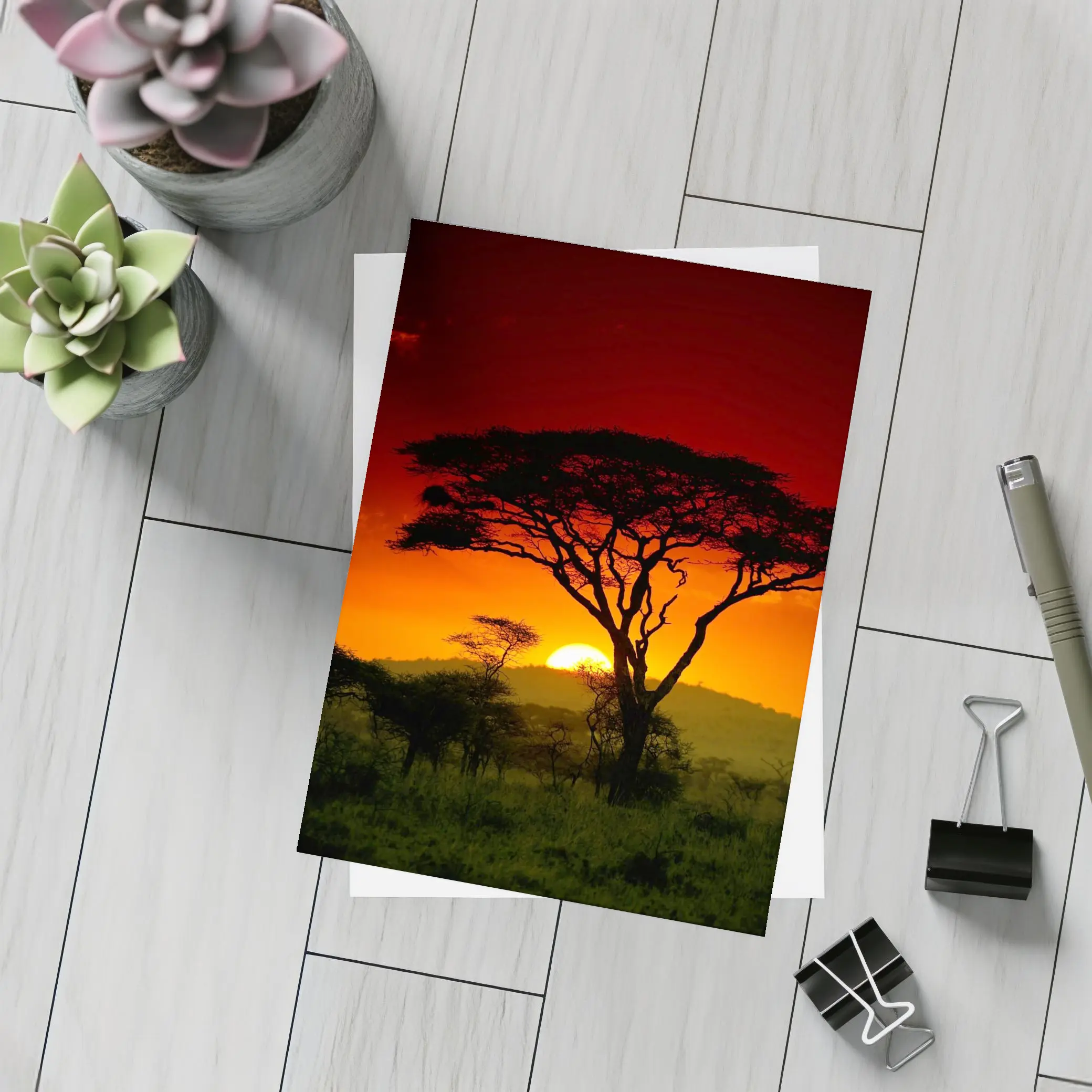 African Savanna Sunset Acacia Tree Silhouette – Postcards