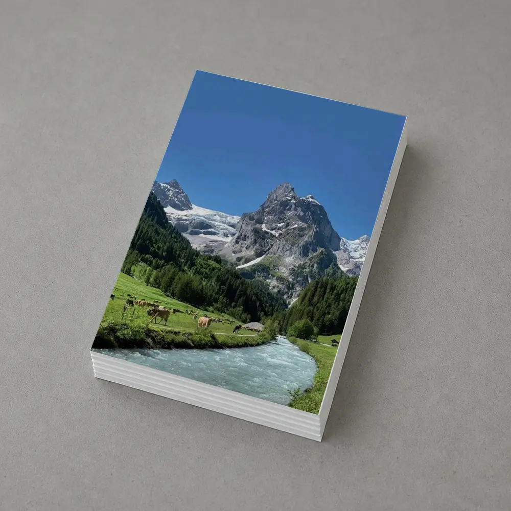 Swiss Alps Mountain Valley River Cows – Postcards