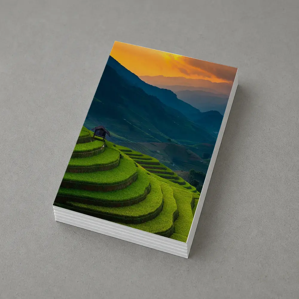 Rice Fields Sunset Mountain Valley Landscape – Postcards
