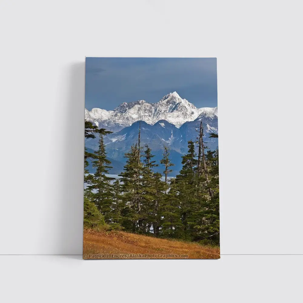 Snow Capped Alaska Mountain Peak Spruce Forest – Wall Art