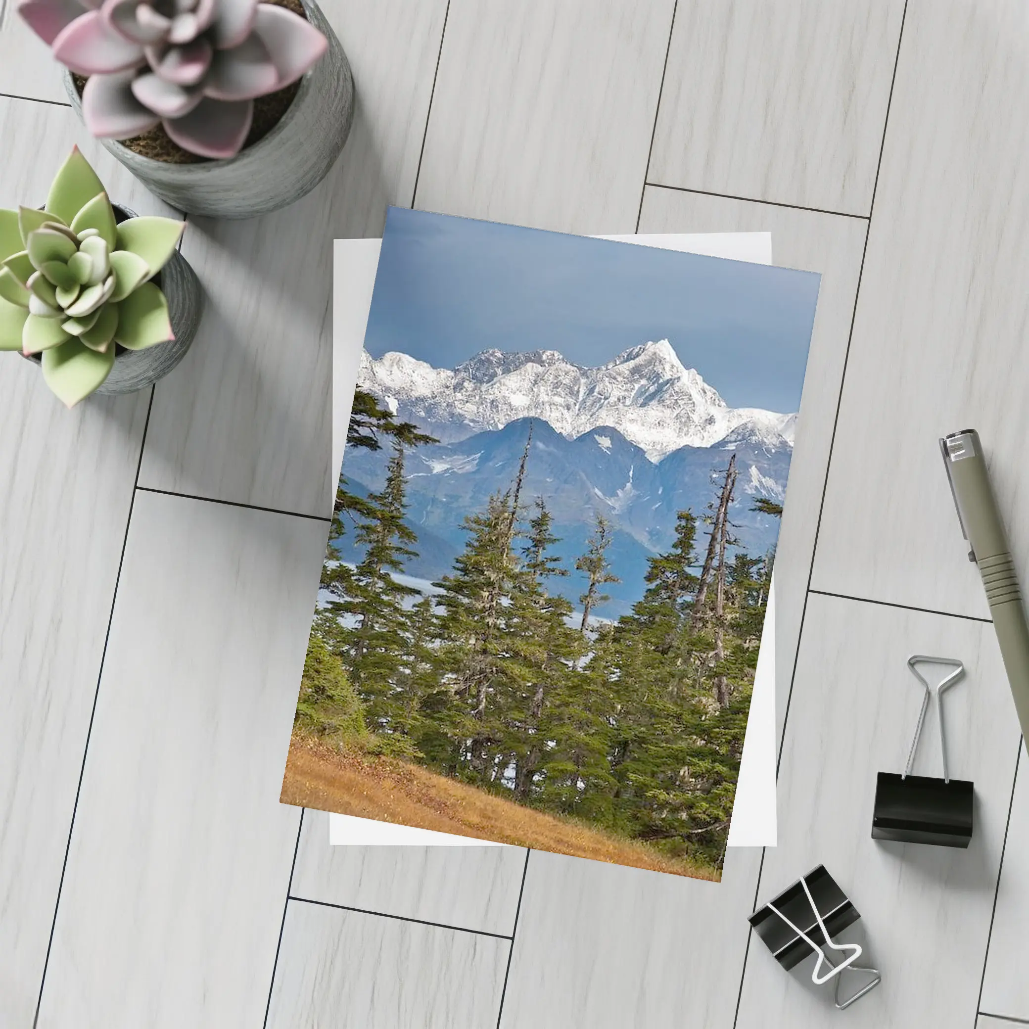 Snow Capped Alaska Mountain Peak Spruce Forest – Postcards
