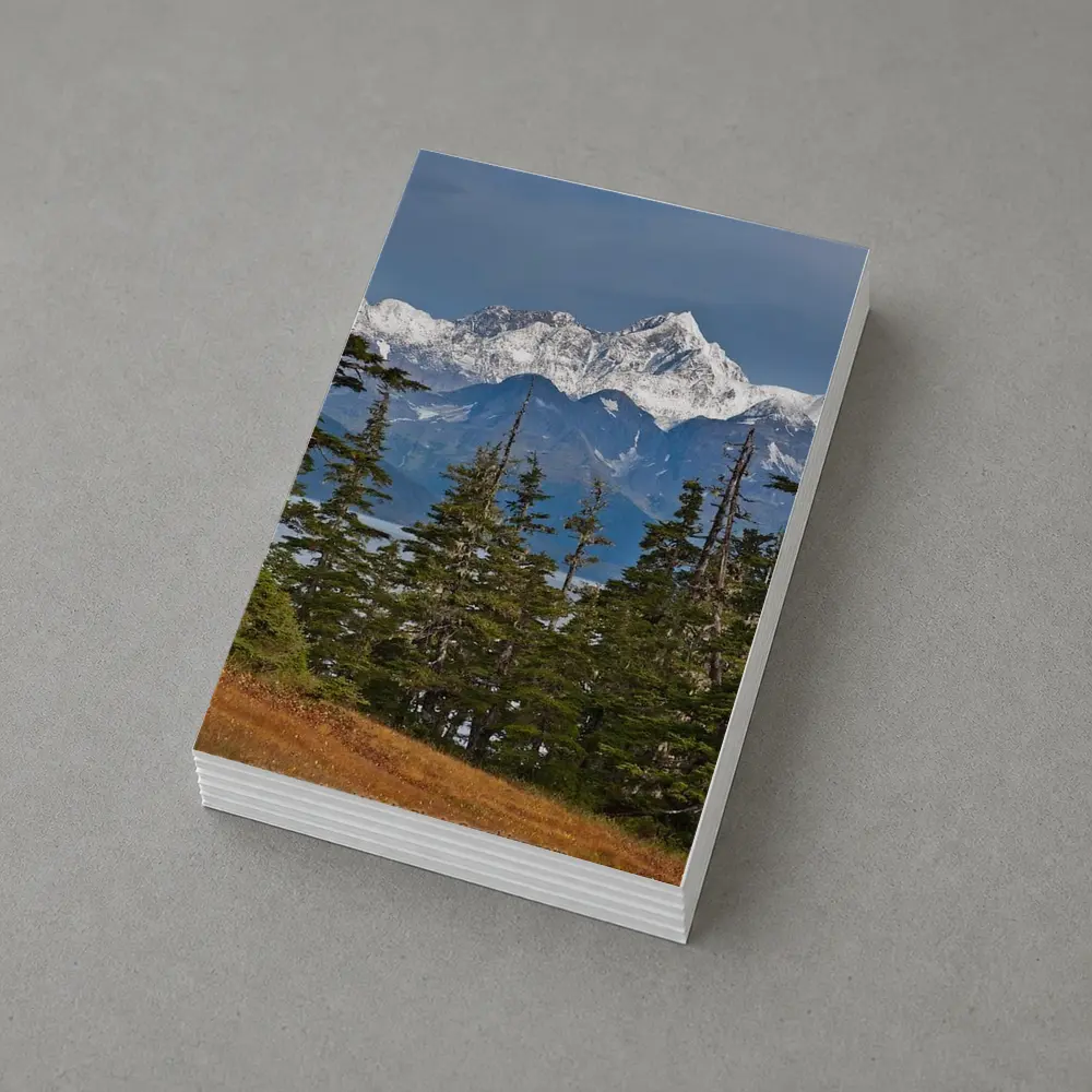 Snow Capped Alaska Mountain Peak Spruce Forest – Postcards
