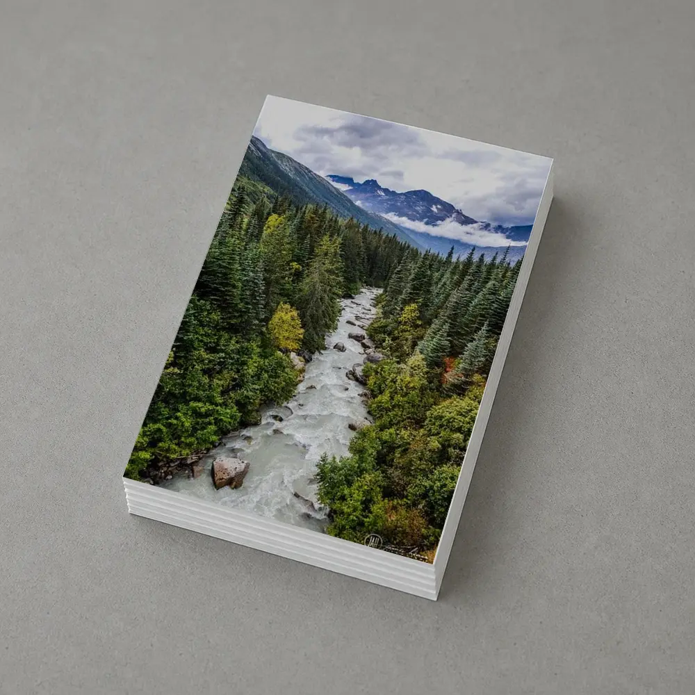 Rocky Mountain River Through Pine Forest – Postcards