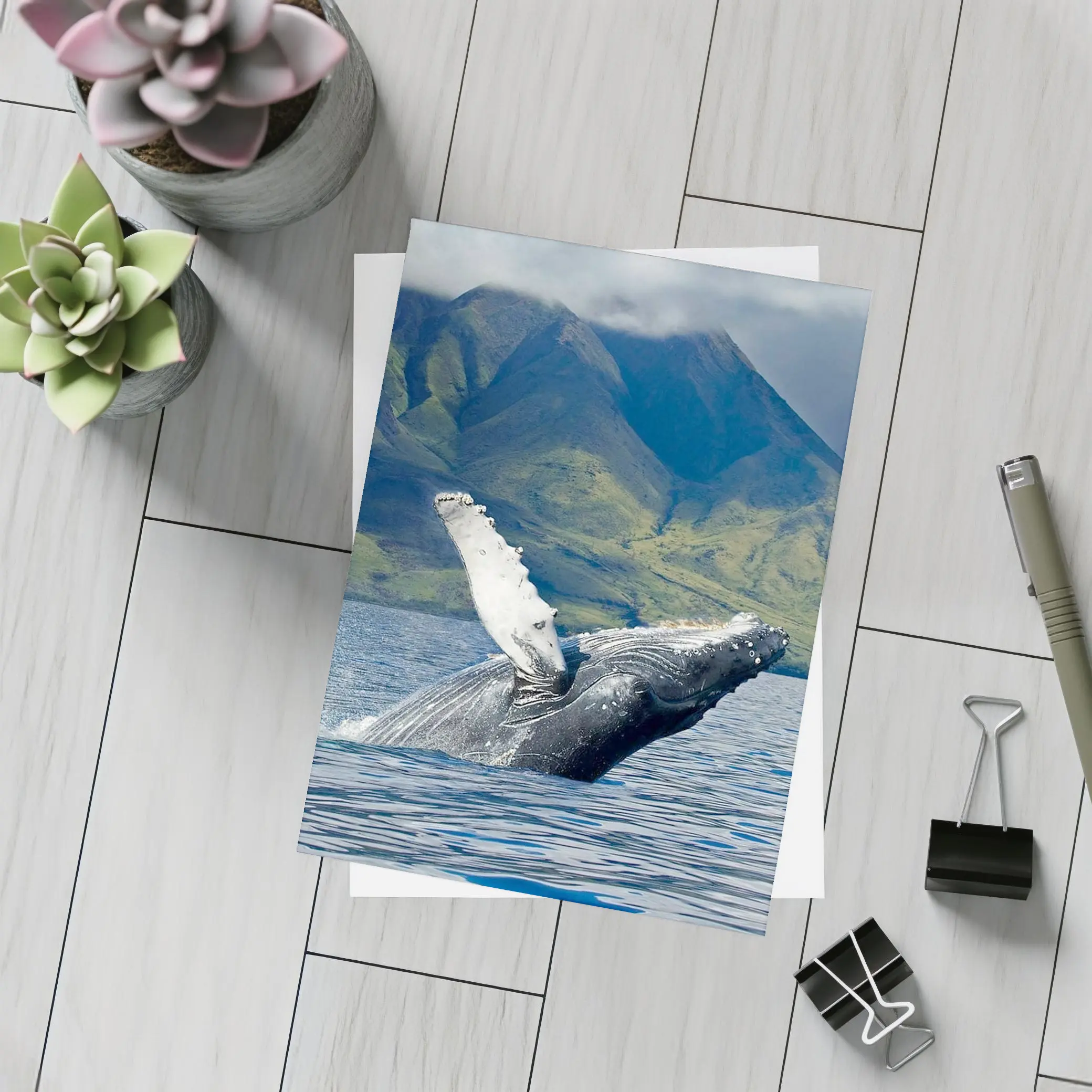 Humpback Whale Breaching Ocean Mountain Backdrop – Postcards