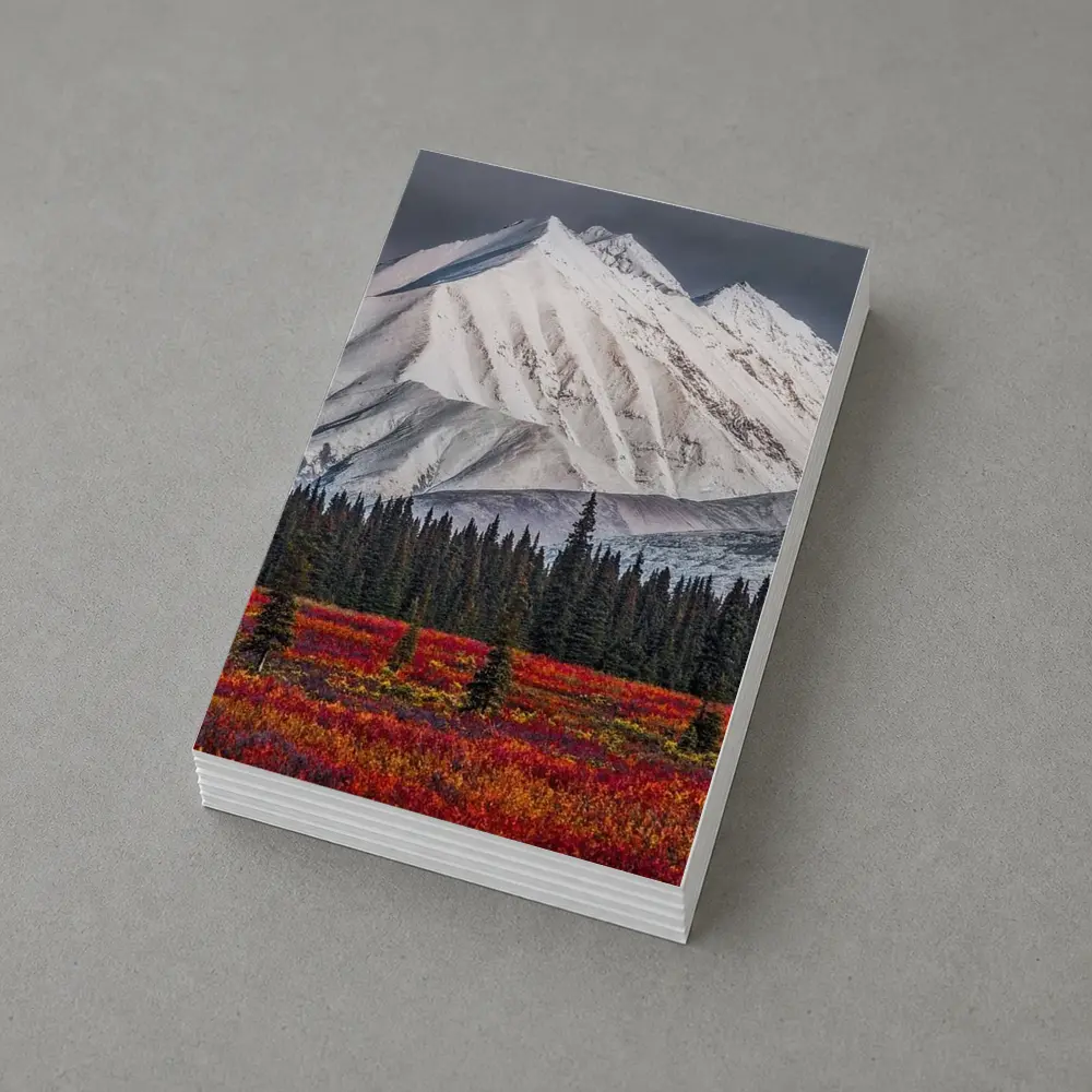 Snow Capped Mountain Autumn Tundra Forest – Postcards