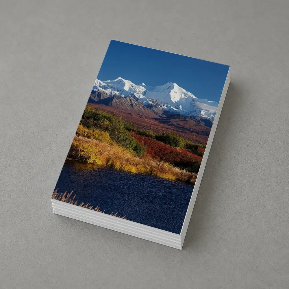 Denali Snow Peak Alaska Autumn Wilderness – Postcards