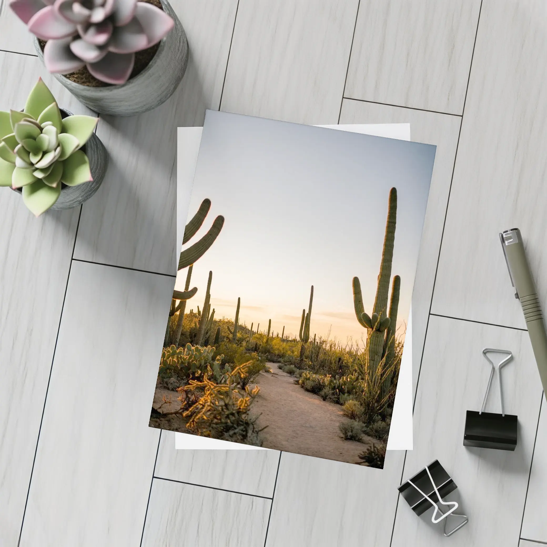 Saguaro Cactus Desert Path Golden Sunset – Postcards