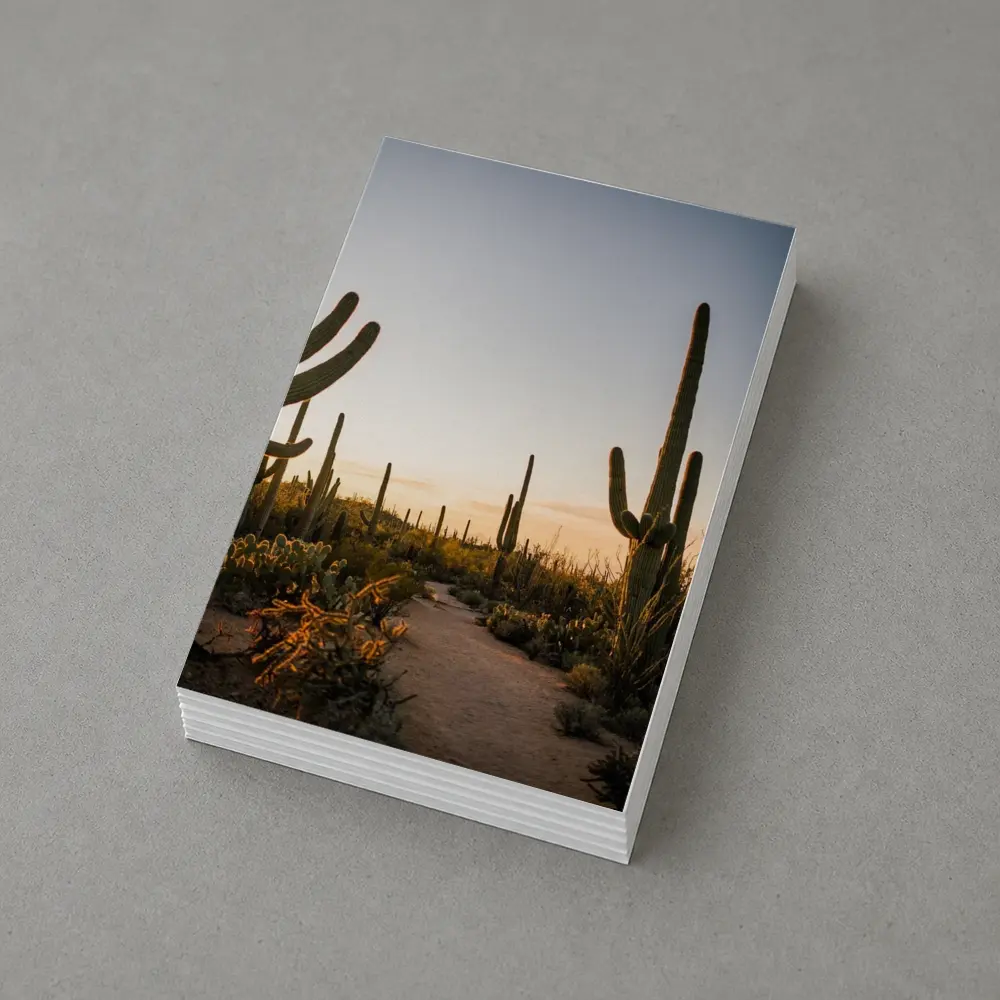 Saguaro Cactus Desert Path Golden Sunset – Postcards