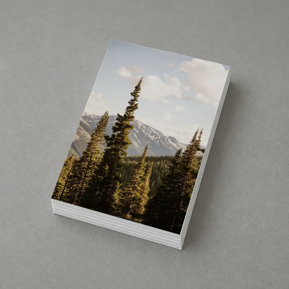 Tall Pine Trees Snow Capped Mountain Landscape – Postcards