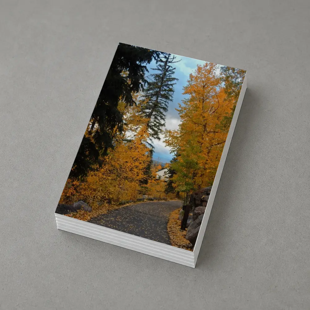 Autumn Path Golden Trees Cloudy Sky – Postcards