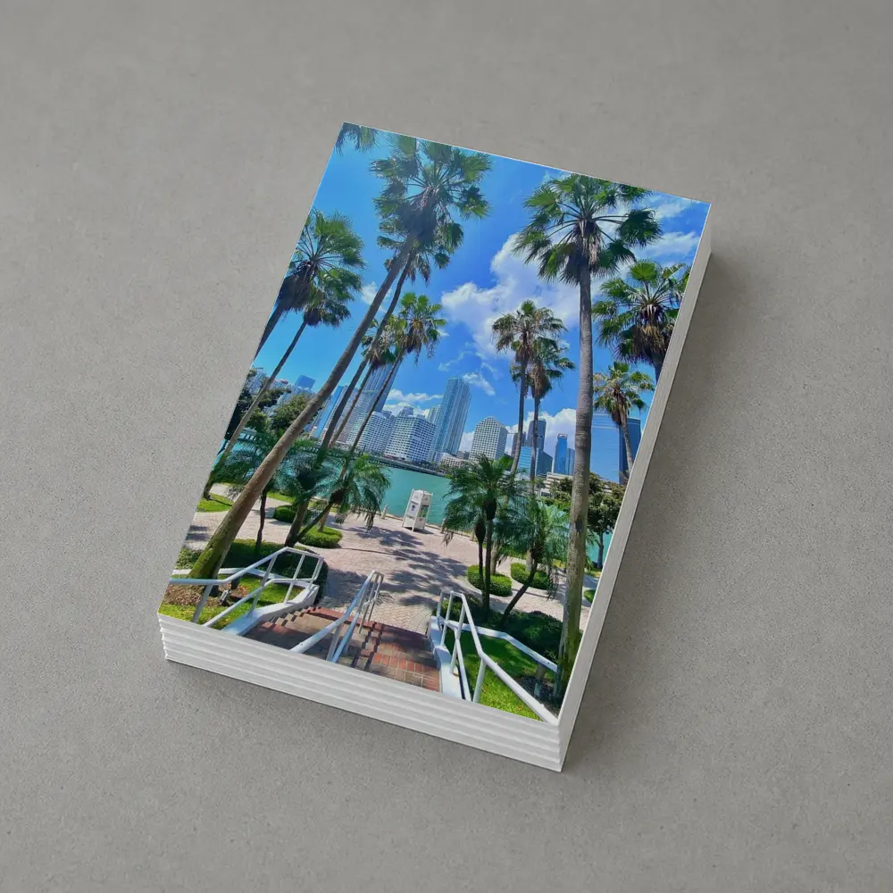 Miami Skyline Palm Trees Bayfront Park – Postcards
