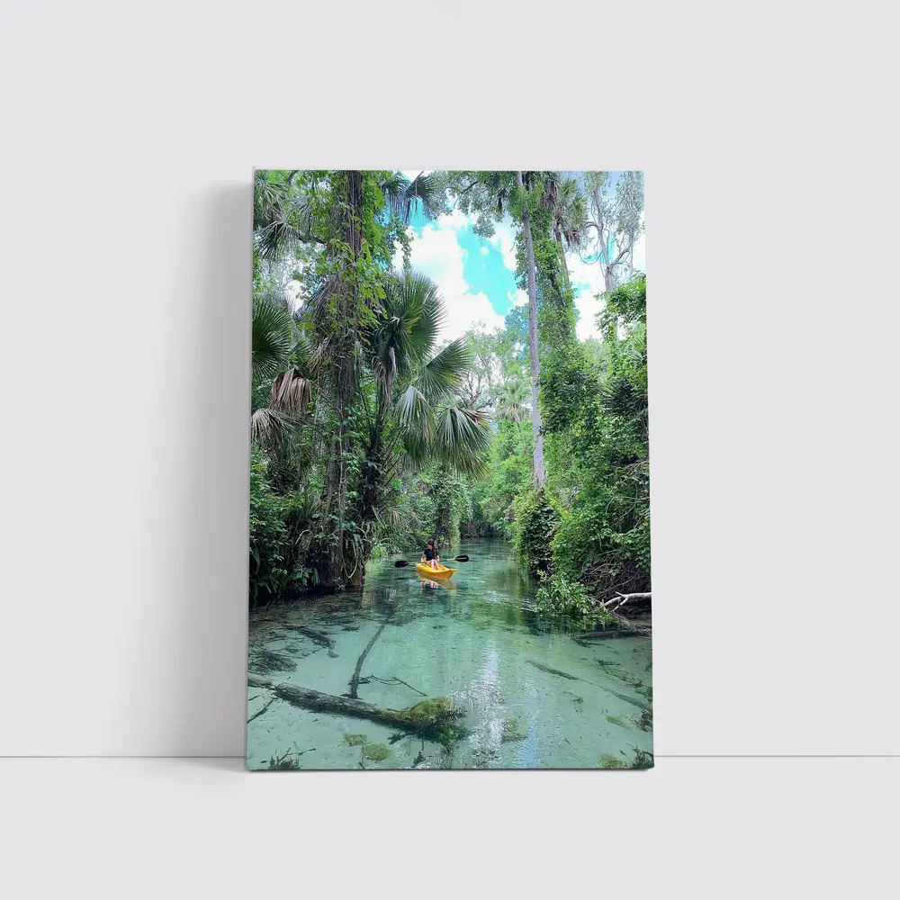 Kayaking Through Lush Florida Spring River – Wall Art