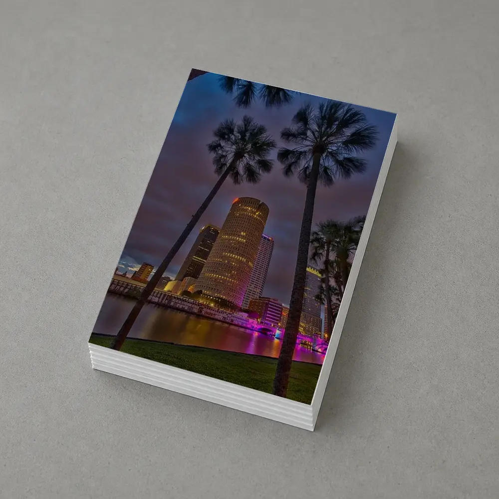 Tampa Skyline Night Palm Trees Florida – Postcards