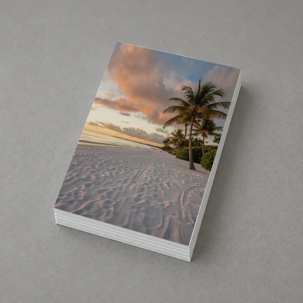 Tropical Beach Palm Tree Sunset Sky – Postcards