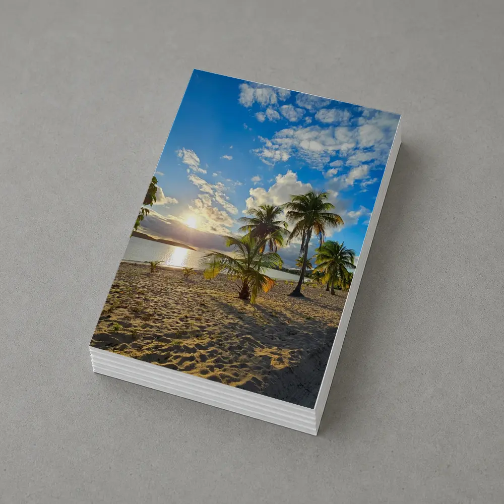 Tropical Beach Palm Trees Sunset Golden Sky – Postcards