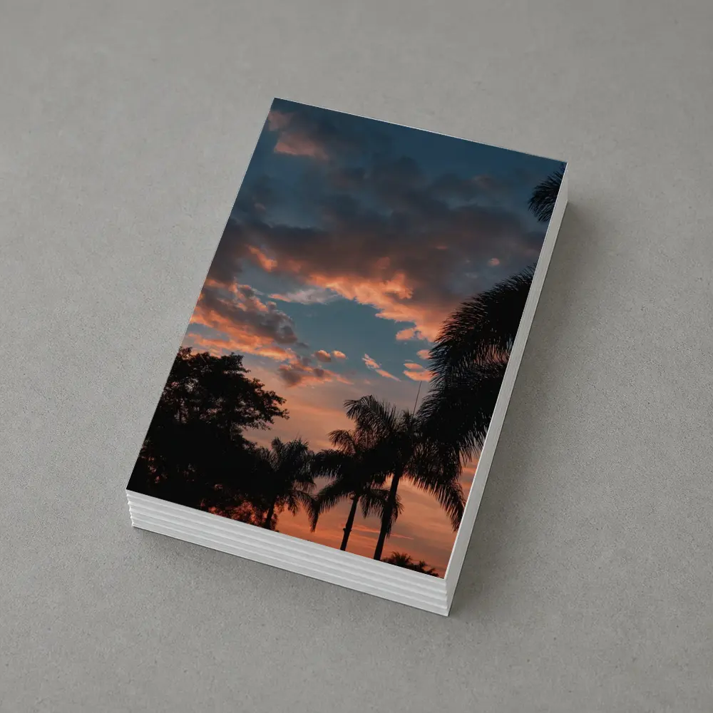 Tropical Palm Trees Silhouette Sunset Sky – Postcards