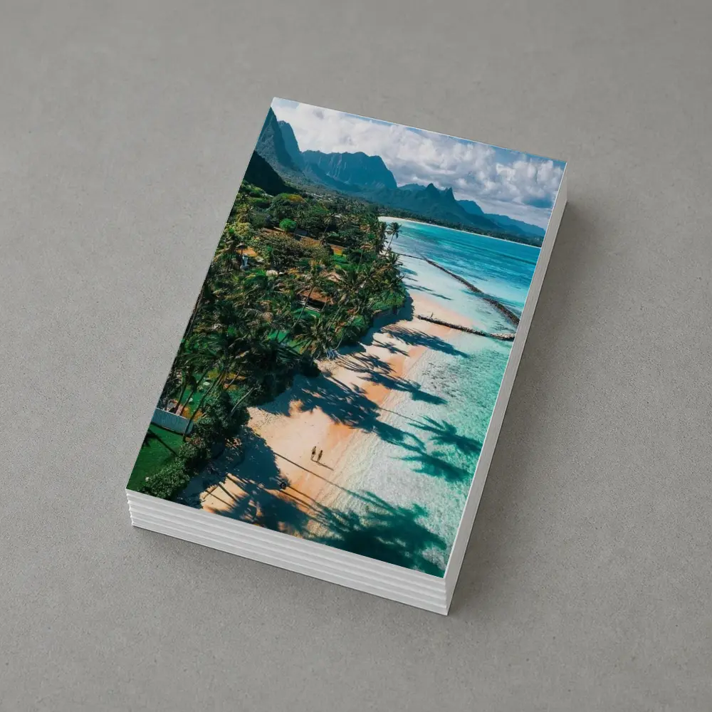 Tropical Beach Palm Shadows Turquoise Water Mountains – Postcards