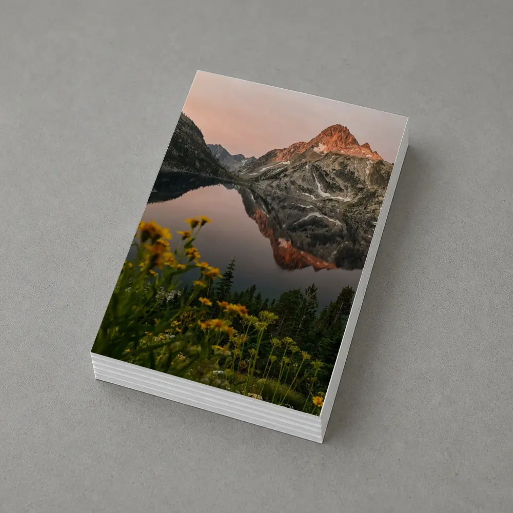 Mountain Lake Reflection Sunset Yellow Wildflowers – Postcards