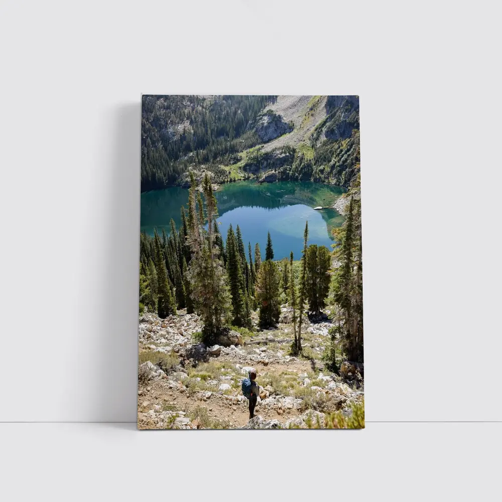 Hiker Overlooking Alpine Lake Mountain Forest – Wall Art