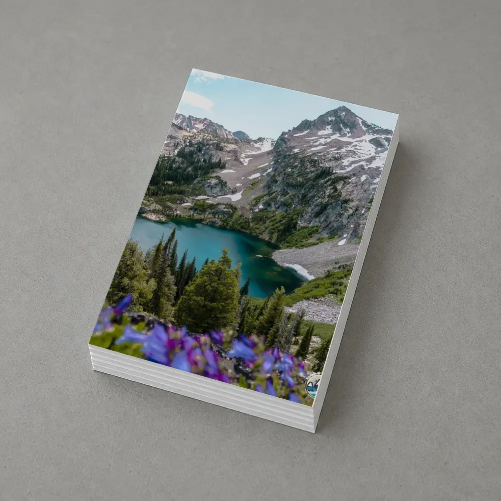 Alpine Lake Mountain Wildflowers Summer Landscape – Postcards