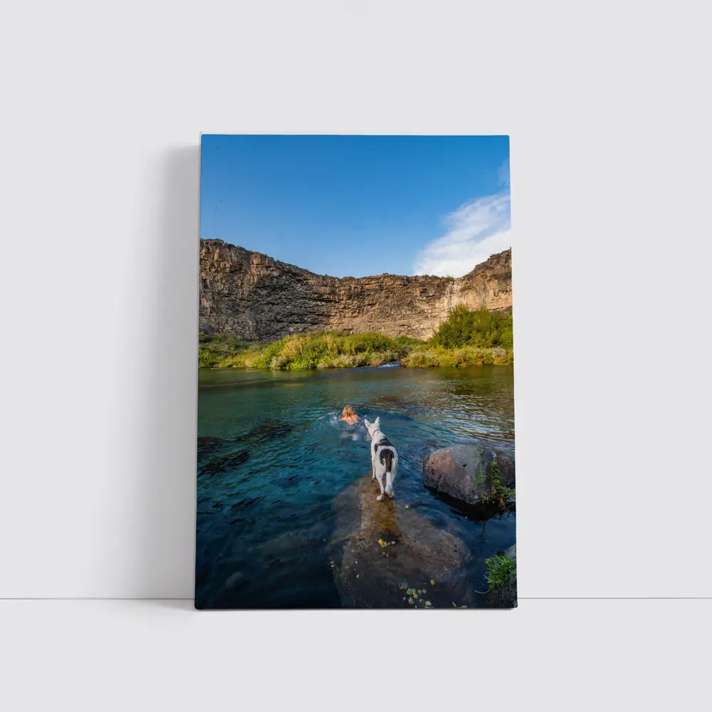 Border Collie Dog by Canyon River – Wall Art