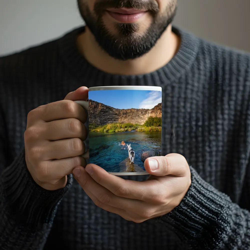 Border Collie Dog by Canyon River – Mugs