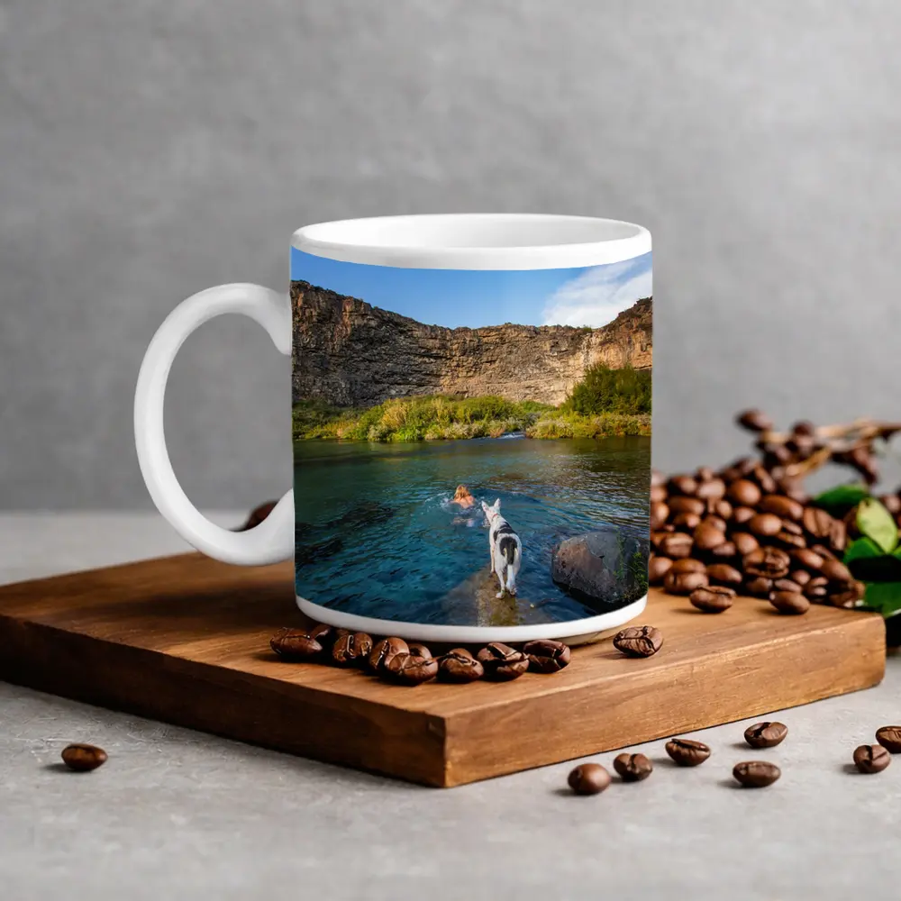 Border Collie Dog by Canyon River – Mugs