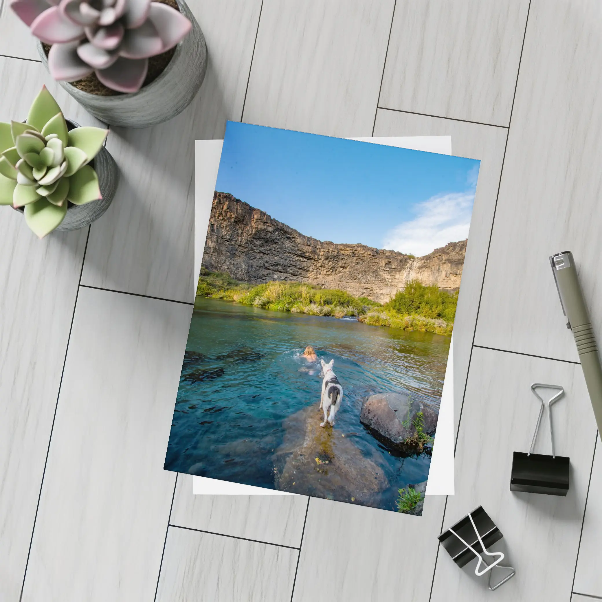 Border Collie Dog by Canyon River – Postcards